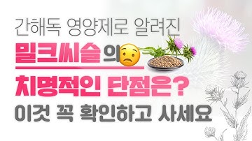 간해독 영양제 밀크시슬의 치명적 단점은?