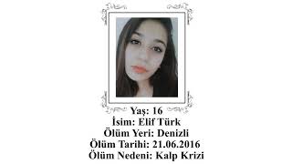 Elif Türk (16) Anısına Resimi