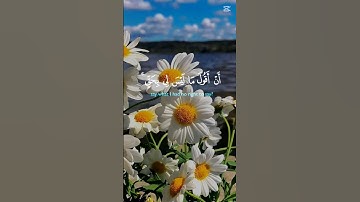 سورة المائدة الآية 116