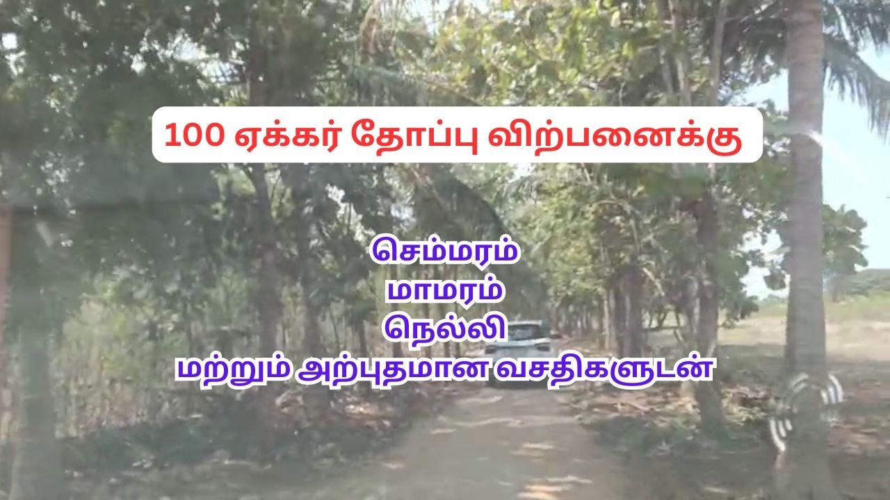 Продается 100 акров сельскохозяйственных земель по низкой цене.