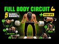 5 Barbell Workouts + Push-Ups 🔥 FULL BODY CIRCIUT