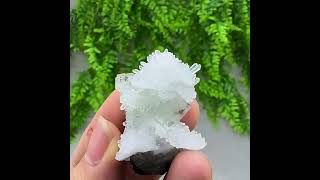 Video preview: Glassy Transparent Green Fluorite with Quartz — Zhejiang | Natural Mineral Specimen