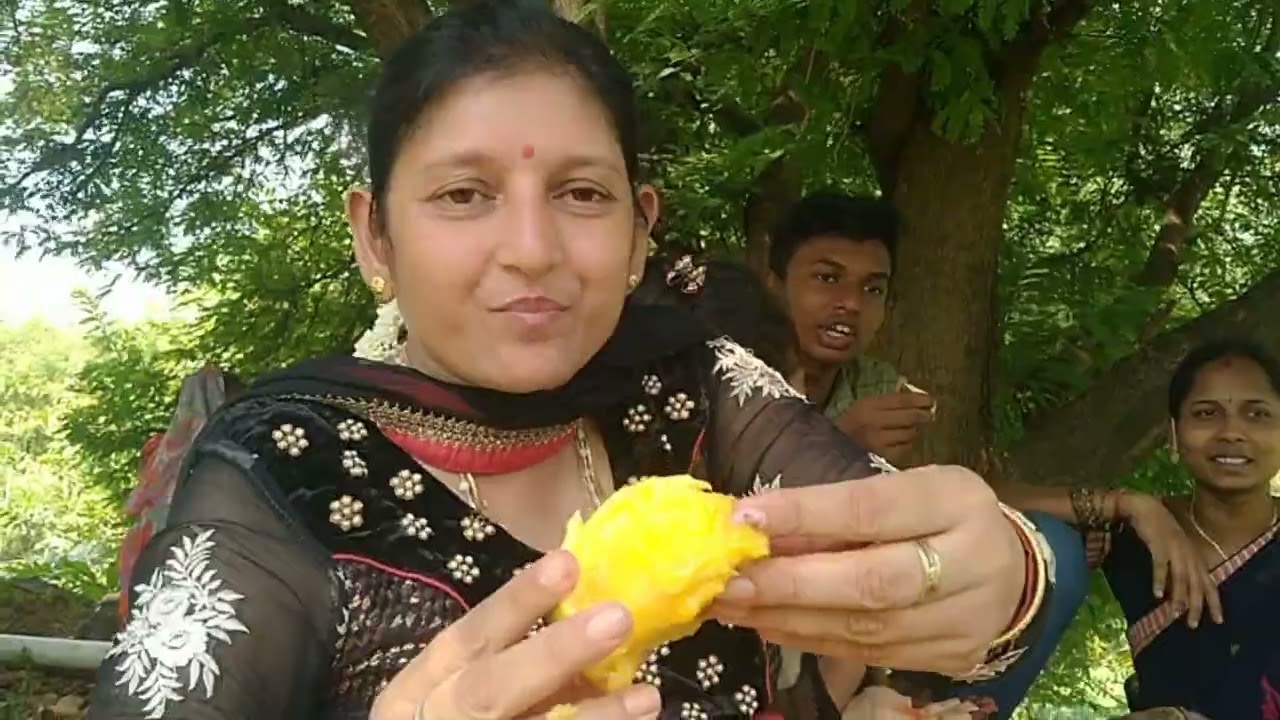 Mango lovers garden searching #mangoes #foodie #garden #gardentips #mangoeating