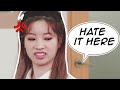 when TWICE goes to high school *the drama intensifies*