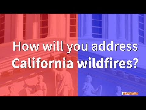 Governor candidates on how they will address wildfires in California