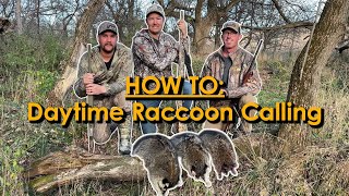 Daytime Raccoon Calling - How To Hunt With An Electronic Caller (Lots of Action!)