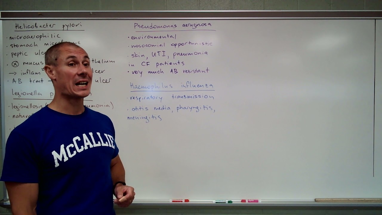 Miscellaneous gram-negative infections. Diderm spirochetes