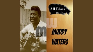 Video thumbnail of "Muddy Waters - Trouble in Mind"
