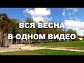 Вся весна за три с половиной минуты. Юрла