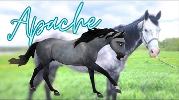 APACHE | Customizing a Real Life Horse!