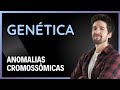 GENÉTICA: ANOMALIAS CROMOSSÔMICAS