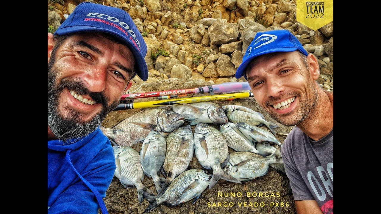 Exemplar de Sargo XL em suspenção em dia de estreia