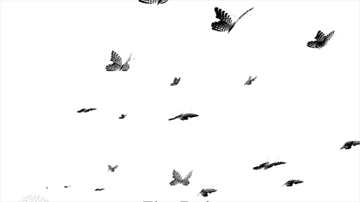 Butterfly   Sarah Behan