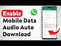 How To Enable Audio Auto Download When Using Mobile Data On WhatsApp