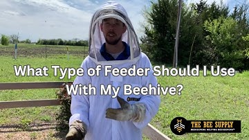 BEEKEEPING: What Type of Feeder Should I Use With My Beehive?