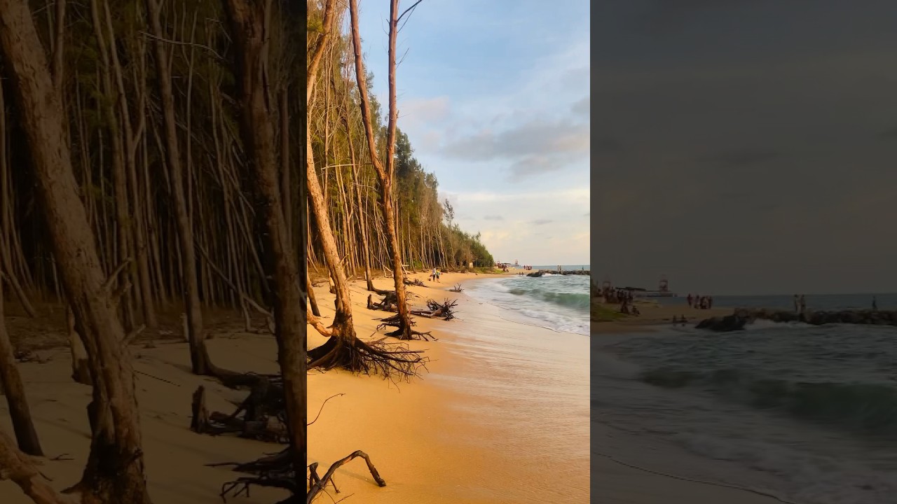 Casuarina Beach | Nuraicholai | Puttalam 