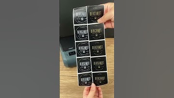 NIIMBOT M2 Thermal Transfer Label Maker - 83 $ Print that lasts. Design that stands out!