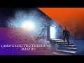 СВЕРХЪЕСТЕСТВЕННАЯ ЖИЗНЬ Андрей Яковишин