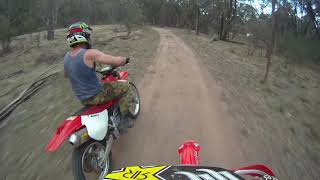 xr650 vs crf450x