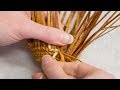 view Twining Cedar (14 of 15): Weaving Designs - False Embroidery digital asset number 1