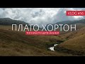 ТОП МЕСТО ШРИ ЛАНКИ | Национальный парк Плато Хортон | Что посмотреть на Шри-Ланке | ВЛОГ #16