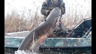 Сом 28кг!Подводная охота 2018 в  протоках Волги.Астрахань март!