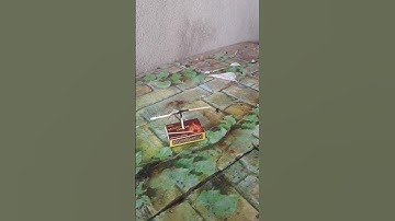 Machis experiment #shorts #m4tech  #e_bull_jet