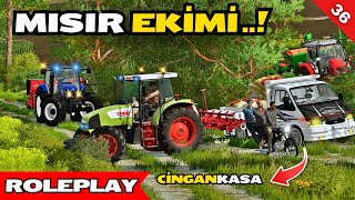 DELİ BEKİR'S LOVE FOR CG MOTORCYCLE | SILAGE CORN PLANT | FS 22 REAL LIFE | MEDRP SİVAS | S2 B36