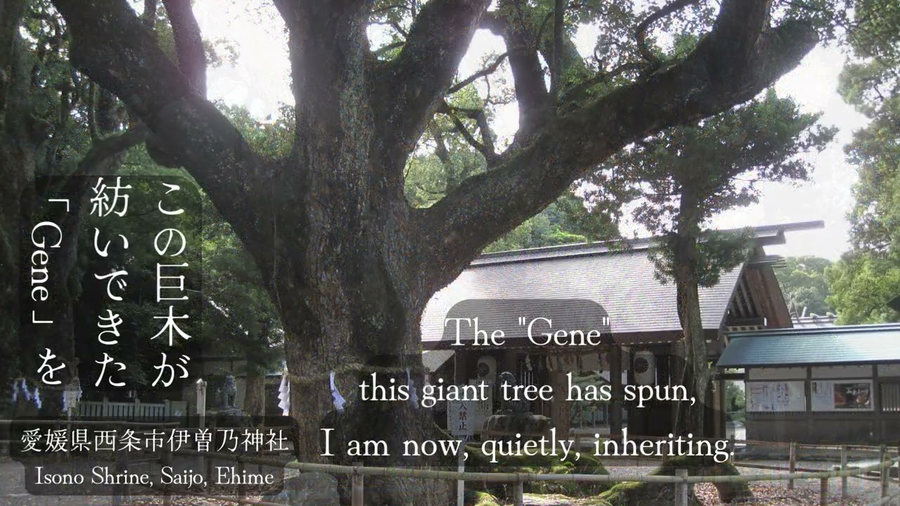 Gene  music by J.Hisaishi , Relaxing Piano Solo / 真木るり子