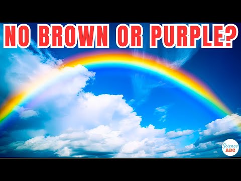 Video: Kdaj nastane rdeča in vijolična?