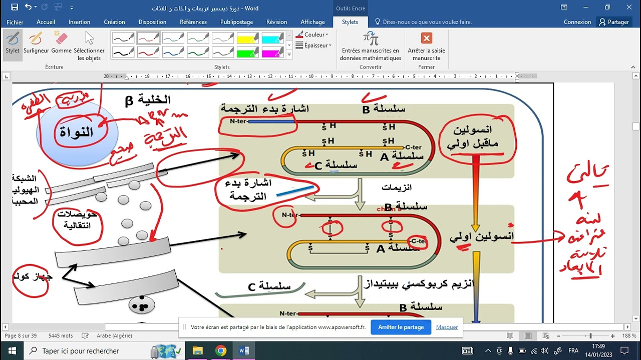 العرض الاول من حل تمرين العجز في انتاج انسولين وظيفي
