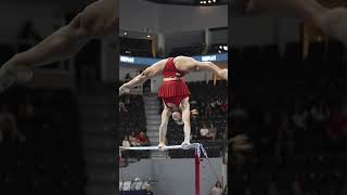 Unbelievable Gymnastics Duo Double Bar Acro