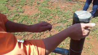 Fencing start/end knot and 'orange knot' for joining wire.