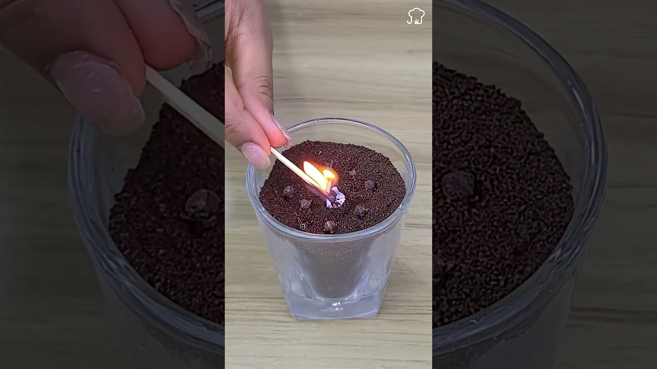 Flies And Mosquitoes Will Flee From Your House With This Easy Homemade Recipe