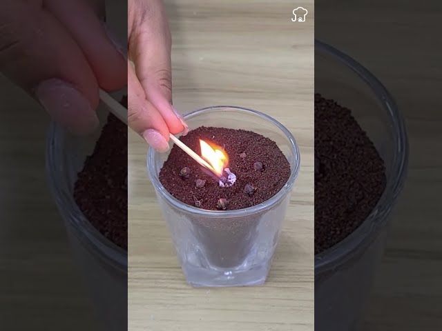 Easy DIY Fly Repellent: Get Rid of Flies Fast! 3 sddefault