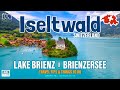 Iseltwald Switzerland | Swiss Village in Lake Brienz 4K | Brienzersee