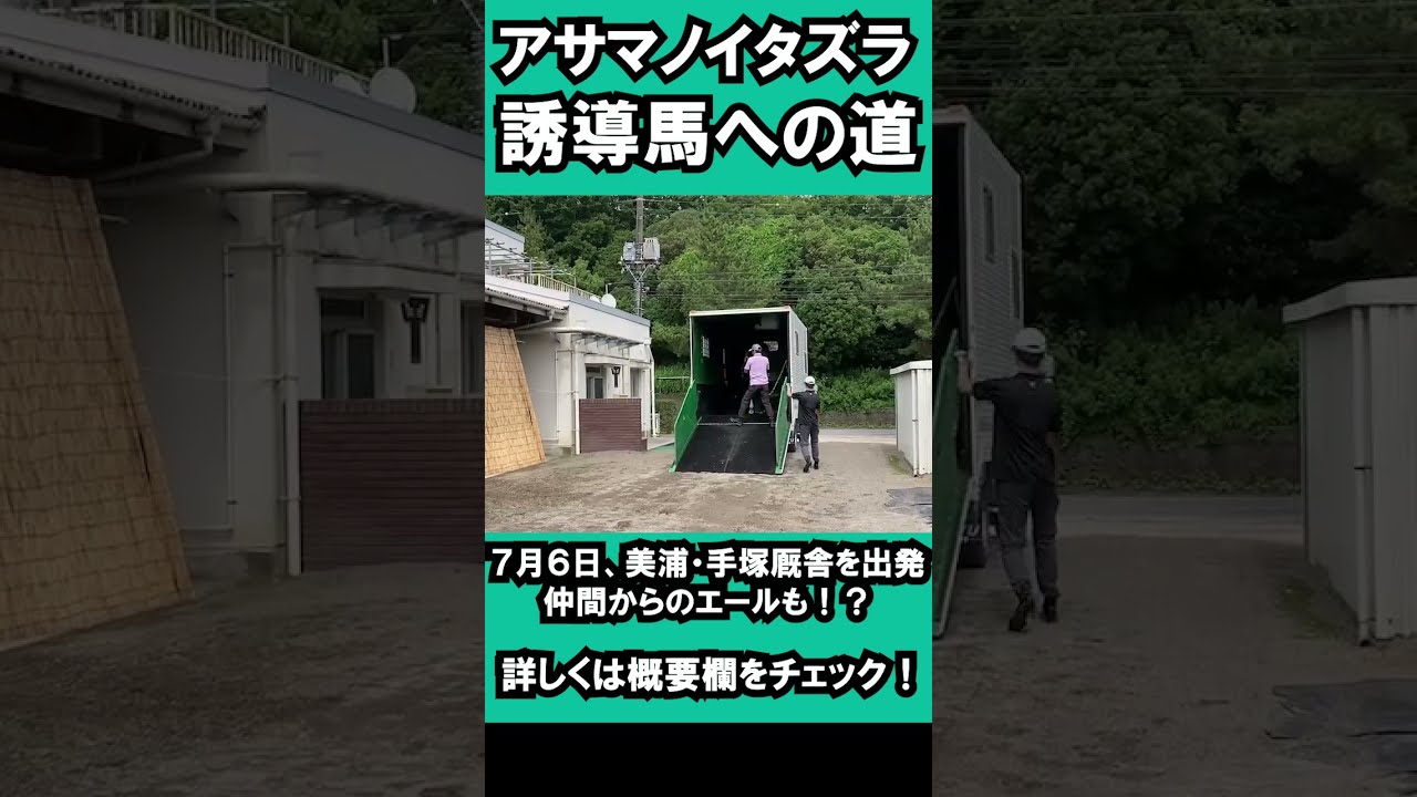 アサマノイタズラ引退記念】 #手塚厩舎 #誘導馬 #中山競馬場