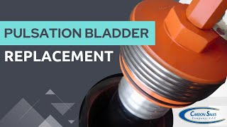 Pulsation Bladder Replacement - PPC Status Flow
