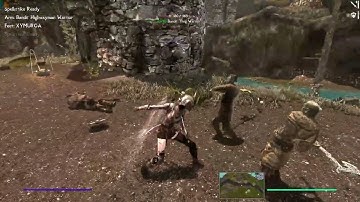 Skyrim SE AE: Advanced Dual Wield Animation
