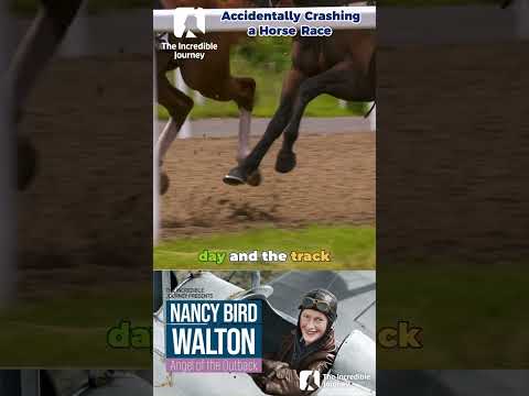 Race Day Interrupted! A shocking landing sidelines the horses.