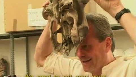 Lost in La Mancha 2002 (Sub español)