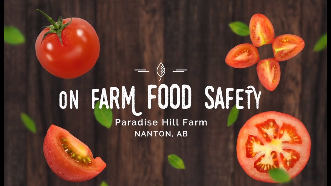Who is Paradise Hill Farm? YouTube