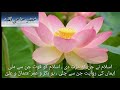 Ashab e Muhammad Haq Ke Wali Bubakro Umar Usmano Ali Urdu Beautiful Nazam Mp3 Song