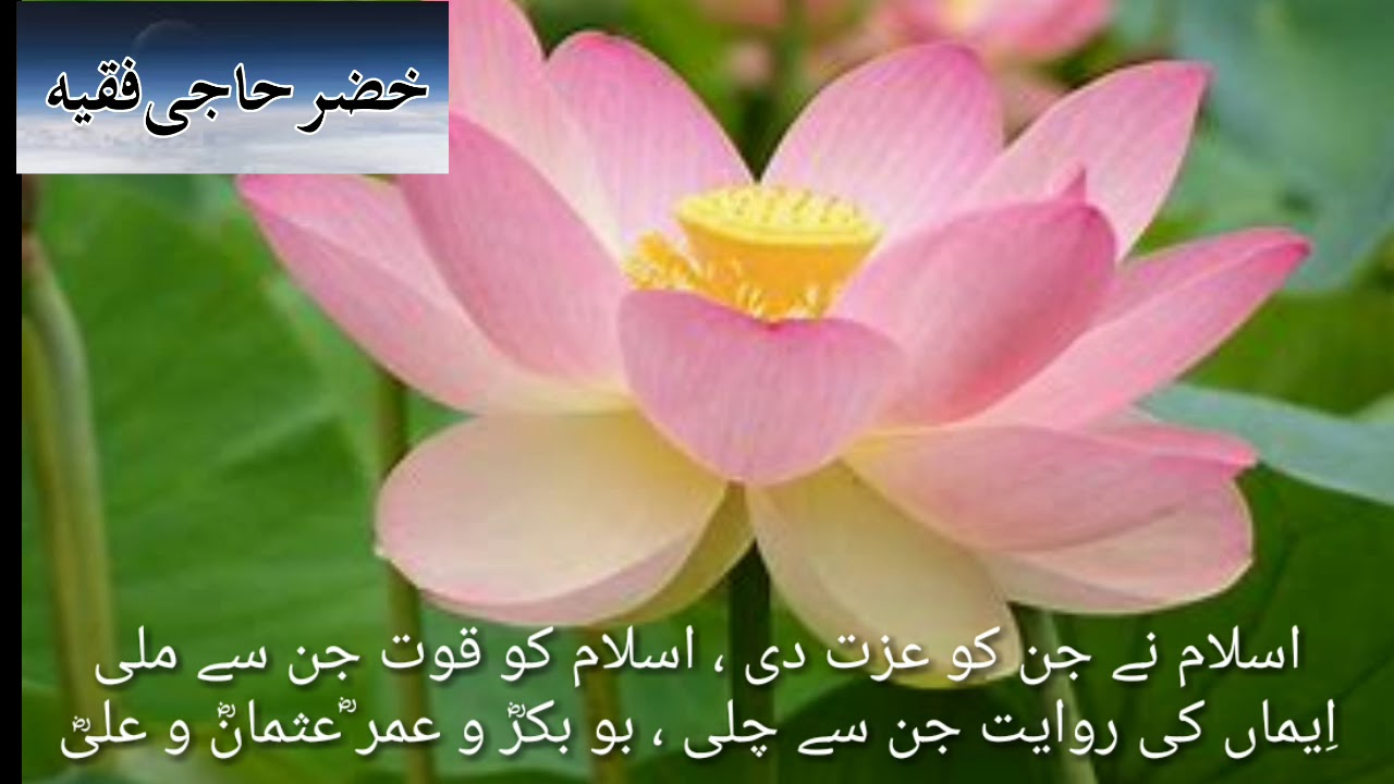 Ashab e Muhammad Haq Ke Wali Bubakro Umar Usmano Ali Urdu Beautiful Nazam