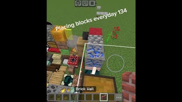 Placing blocks everyday 134 #minecraft #shorts #blocks #minecraftshorts #fyp #fypシ #minecraft15