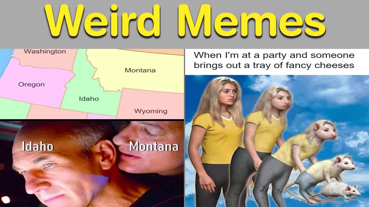 Absurd Memes That Make Zero Sense and Somehow Feel Like Art 🤯🎨|| Daily Humor