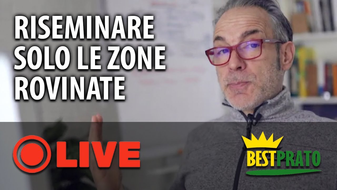 COME RISEMINARE (SOLO) LE ZONE ROVINATE DEL PRATO