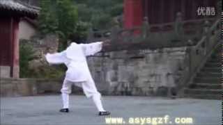 WUDANG Daoist Five ( 5 ) Elements QIGONG by Li YuanFei .... Part 2 ( Wood ) . Profile