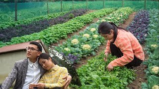 45 Days Of Linda Plant And Harvest Vegetables To Sell – Dating CEO Quang – Planning To Live Together