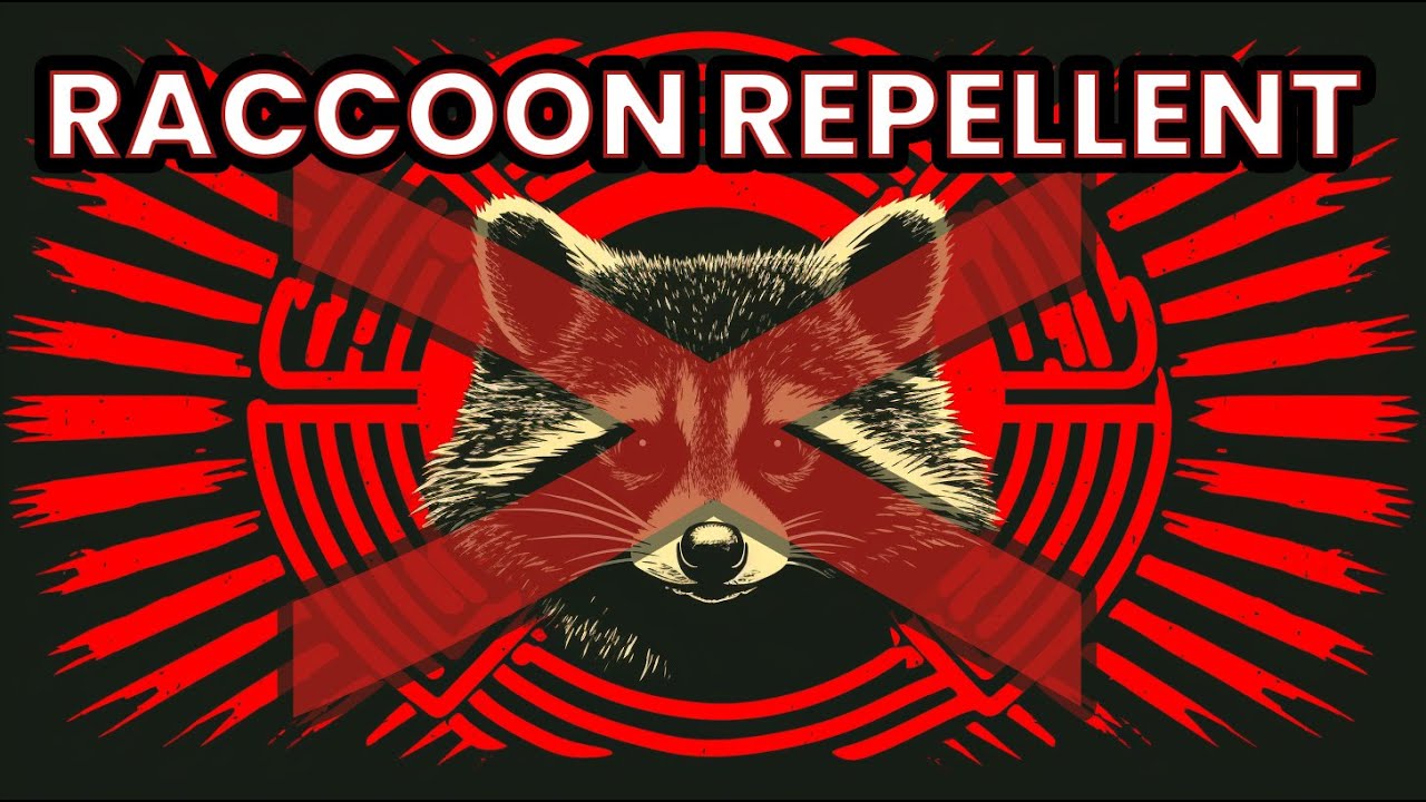 Παρακολούθηση Raccoon Repellent Frequencies: Say Goodbye to Uninvited Critters! στο YouTube Παρακολούθηση Raccoon Repellent Frequencies: Say Goodbye to Uninvited Critters! στο YouTube